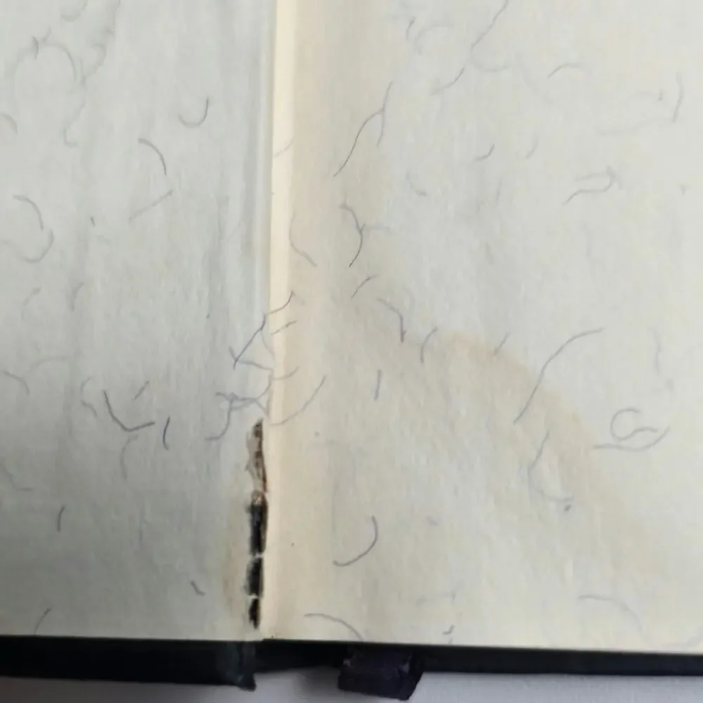 The Adventures of Huckleberry Finn flaws see photos